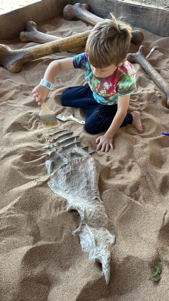 digging for fossils at Jurassic Jamboree Dinosaur Festival at Sweet Eats Fruit Farm