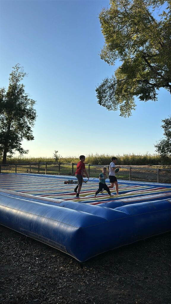 Jurassic Jamboree Dinosaur Festival at Sweet Eats Fruit Farm bounce pillow