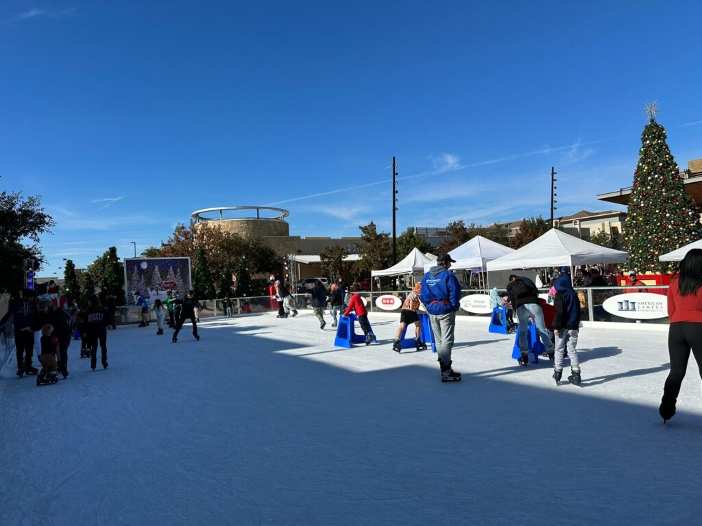 Bee Cave On Ice