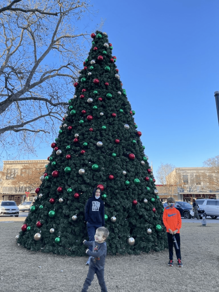 Georgetown Square holiday tree