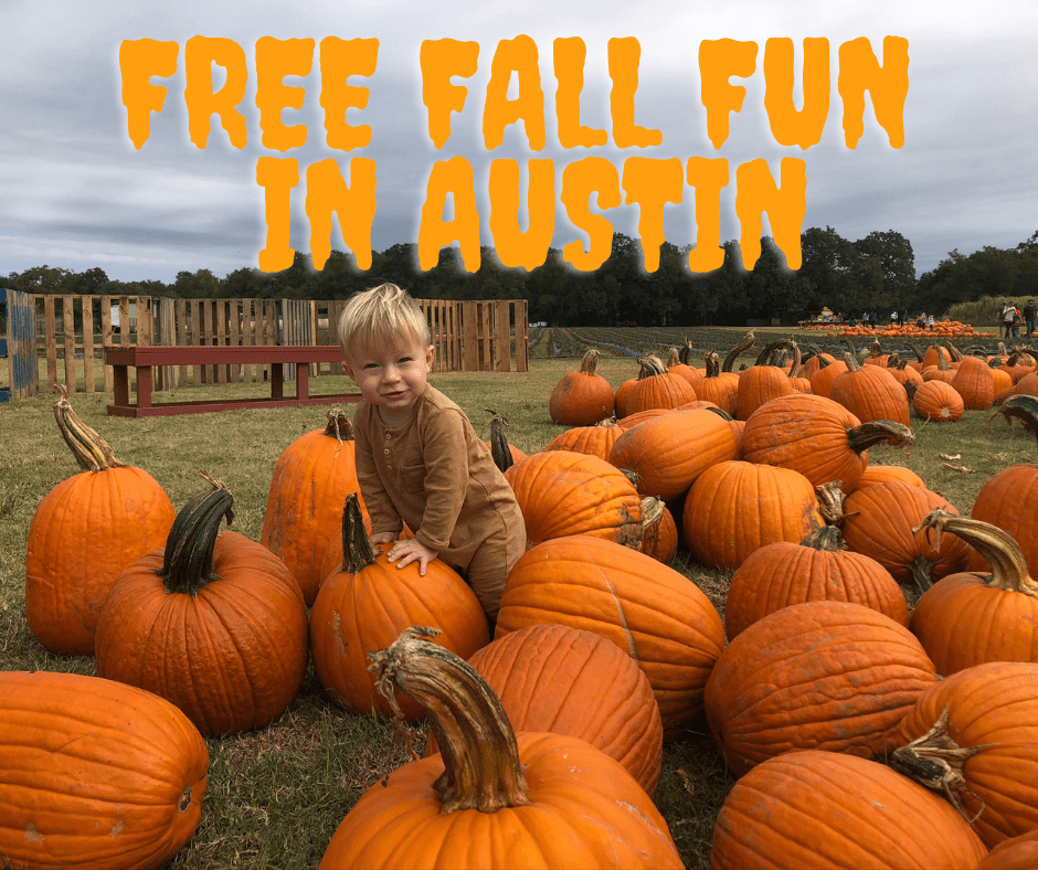 free fall fun for kids in austin