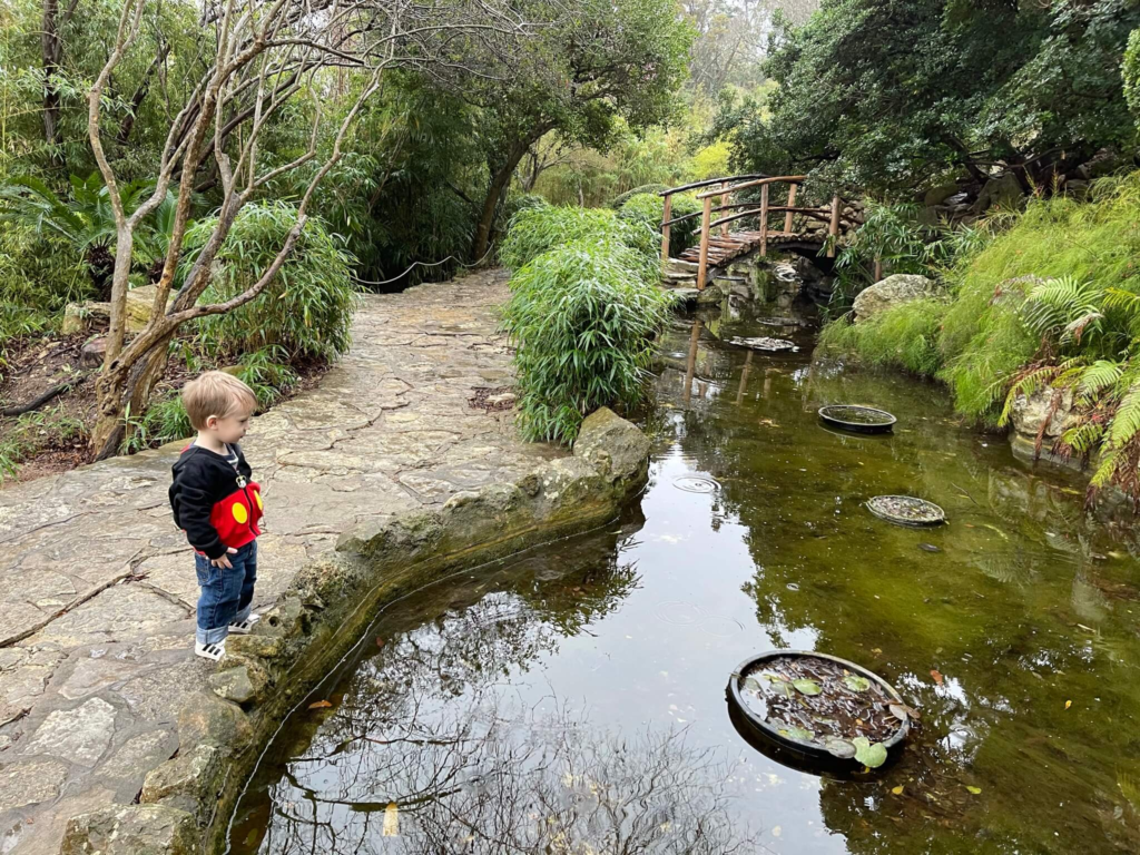 zilker botanical garden