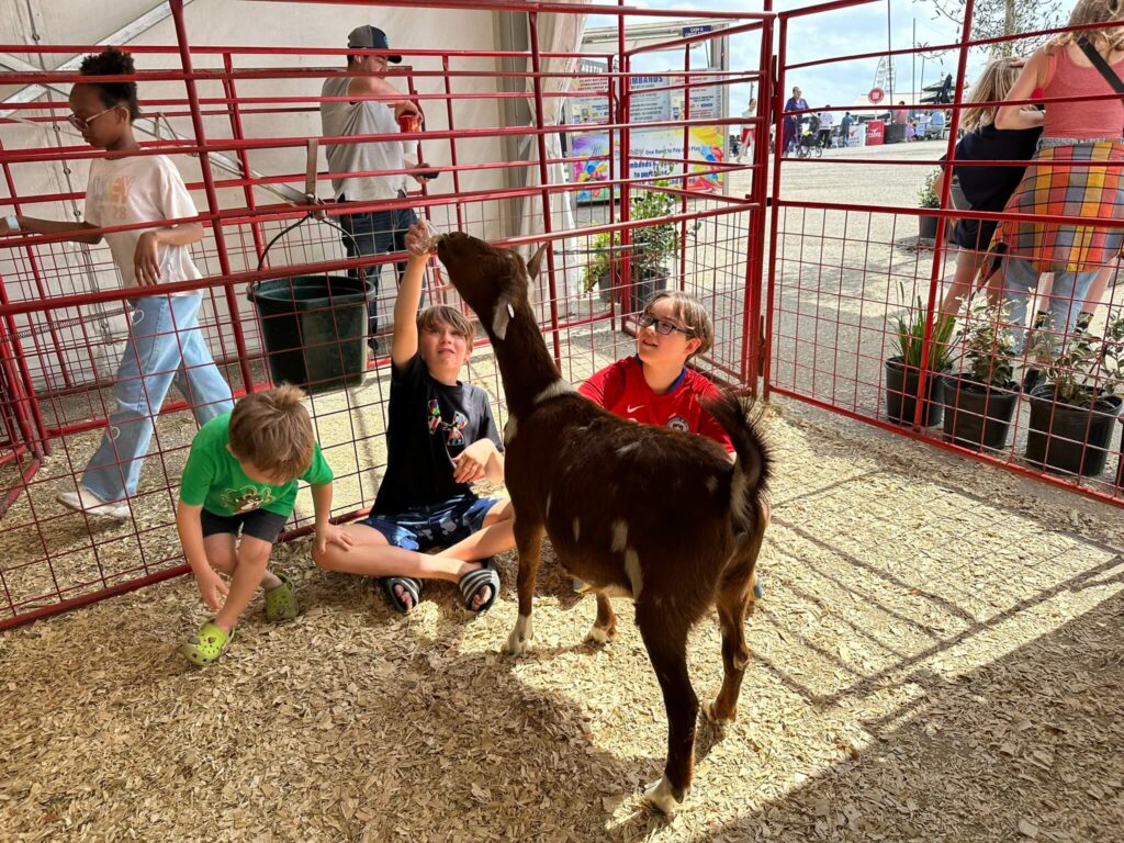 the petting zoo at Rodeo Austin