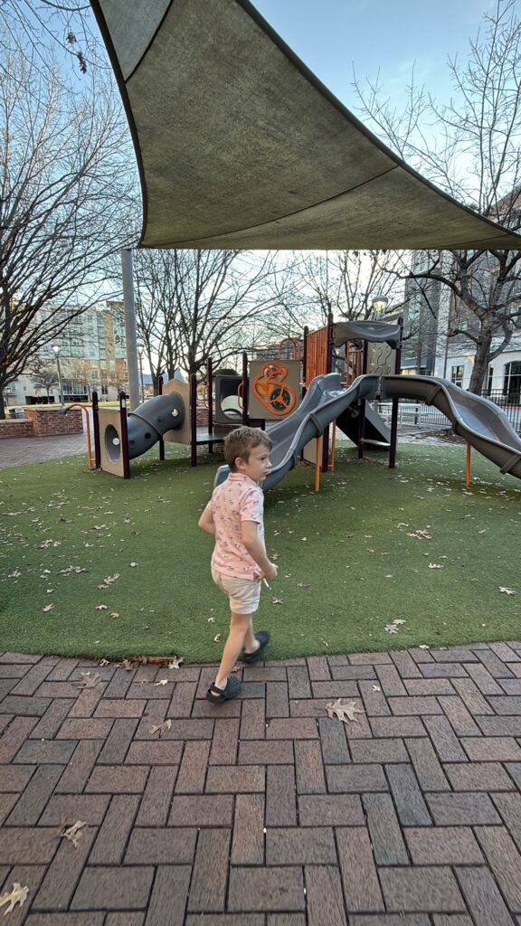 sushi warriors at the triangle playground