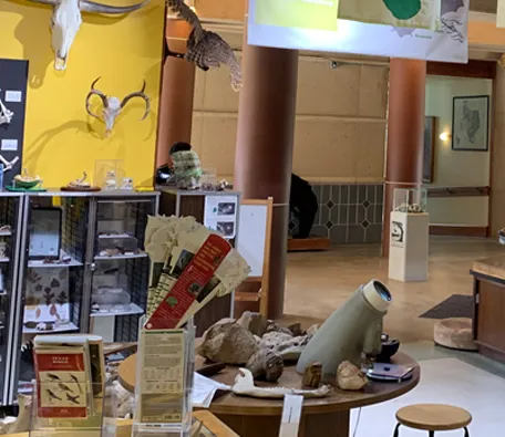 A view inside the Austin Nature and Science Center