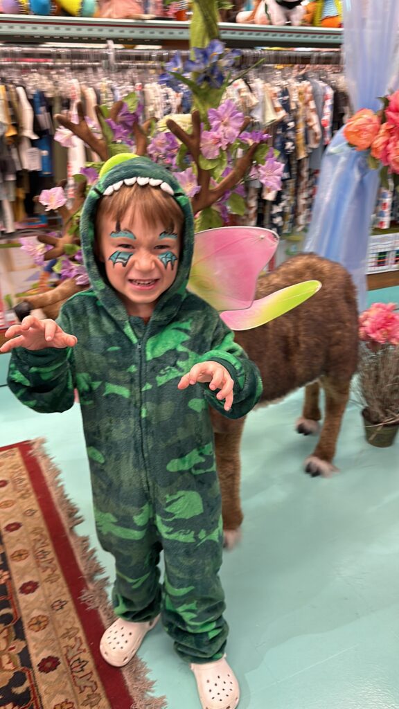 My son wore a dragon costume to the fairy tea party at terra toys