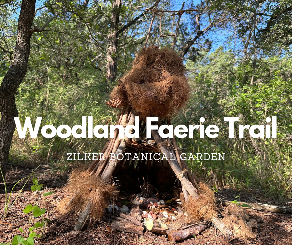 woodland faerie trail at zilker botanical garden