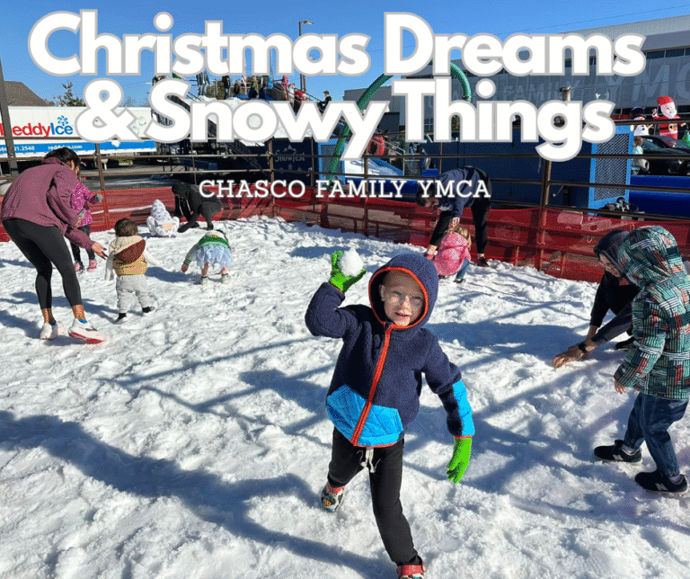 Christmas Dreams & Snowy Things