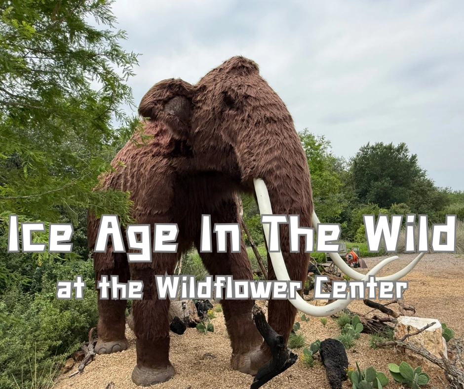 A wooly mammoth stands proudly among the trees at the Wildflower Center in Austin TX